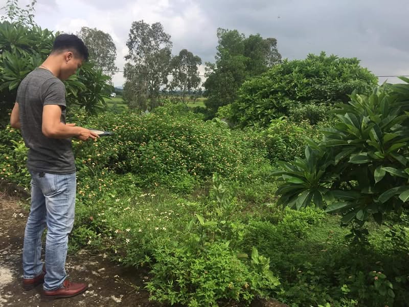 Quy Trình Khảo Sát Phong Thủy Thực Địa: Đo Đạc Trường Khí Khoa Học Cho Các Công Trình Trọng Điểm